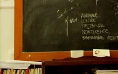 Renzo Fanfani: lavoro e studio