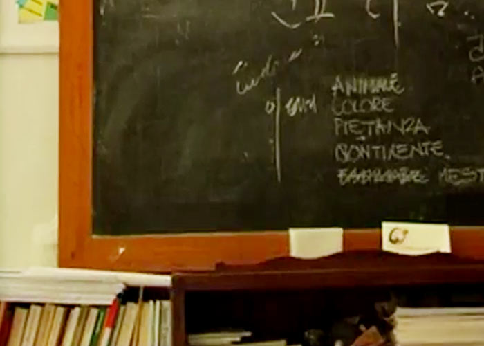 Renzo Fanfani: lavoro e studio